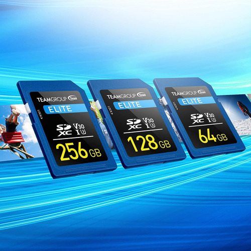 Teamgroup Elite Uhs-i U3 V30 Uhd De 256 Gb, Speed De...