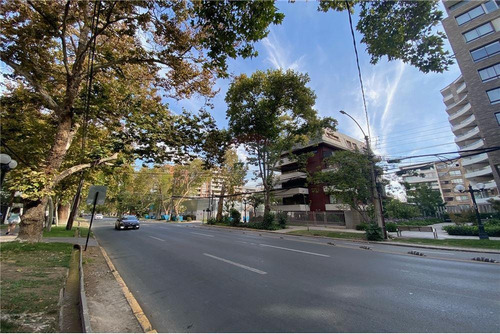 Espacio Y Tranquilidad En La Comuna De Providencia
