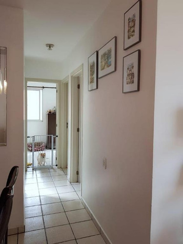 Imagem 7 de 14 de Apartamento Com 3 Dormitórios À Venda, 64 M² Por R$ 400.000 - Cambuci - São Paulo/sp - Ap19742