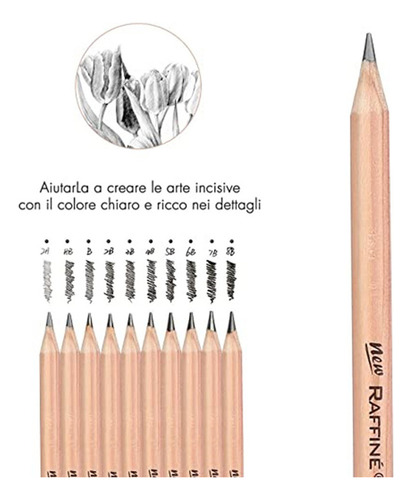 Juego De Lápices De Carboncillo, Herramienta Profesional Par