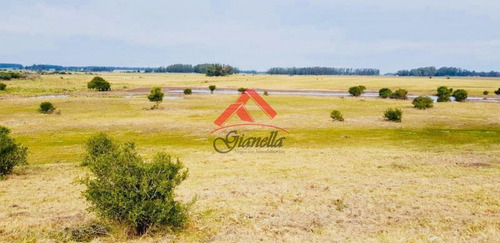 Venta De Chacra En Jose Ignacio, Medellin.- Ref: 1682