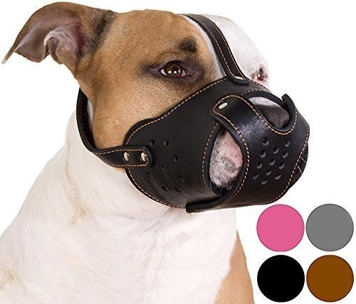 Collardirect Bozal Para Perro Pitbull Amstaff Basket Piel Ge