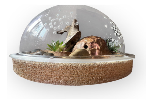 Terrario Semiesfera Para Geckos Leopardo Y