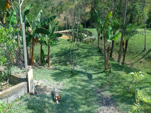 Chacara - Ch00015 - 33311828