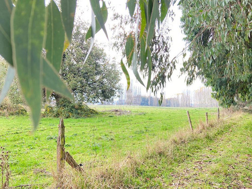 Maravilloso Campo En El Sur De Chile.
