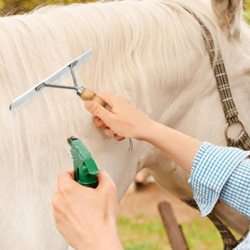 Rastrillo De Uñas Para Caballos, Peine, Cepillo De Dientes