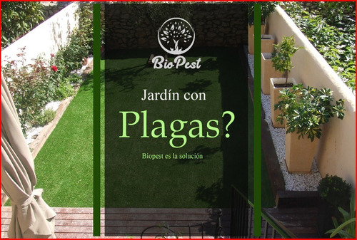 Imagen 8 de 12 de Control De Plagas Con Responsabilidad Ambiental.