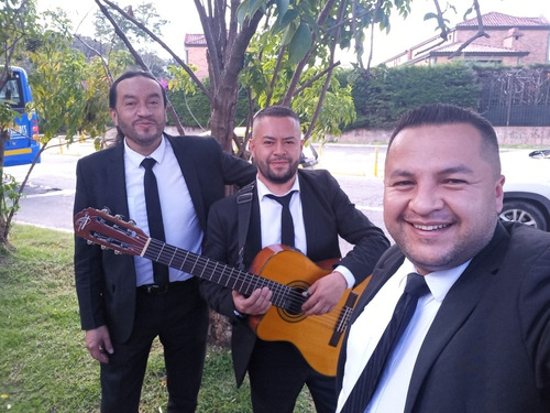 Imagen 1 de 5 de Serenata De Cuerda Trio Musical En Bogotá Trios Musicales