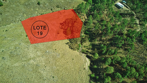 Lote De Montaña - Venta - Dos Arroyos - 11.789 M² En El Durazno, Córdoba