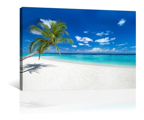 Cuadro Decorativo Naturaleza Canvas Playa Paraiso Tropical