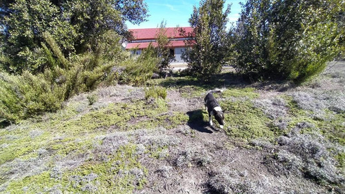 Imagen 29 de 30 de Susana Aravena Propiedades Terreno - San Martin De Los Andes