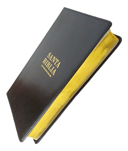 Biblia Reina Valera 1960 Letra Grande Tamaño Manual Negro