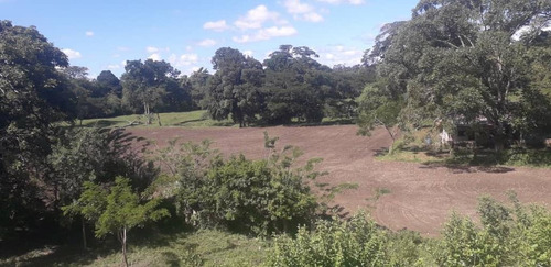 Imagen 5 de 18 de Hermosa Finca De 170has, En Yaracuy, Emss Vende
