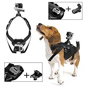 Arnes Gopro Para Mascota