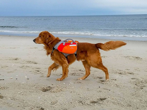 Multiusos Vida De Perro Chamarra Mochila