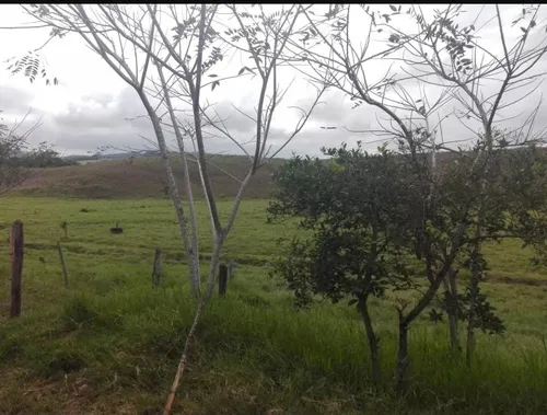 Vendo Finca Ganadera En Restrepo Valle
