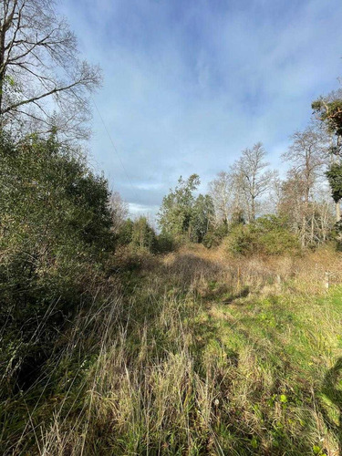 Parcela 6300m2 Arboles Nativos (105986)