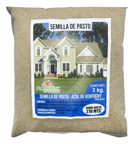 Semilla De Pasto Azul De Kentucky Para Sombra 3 Kg