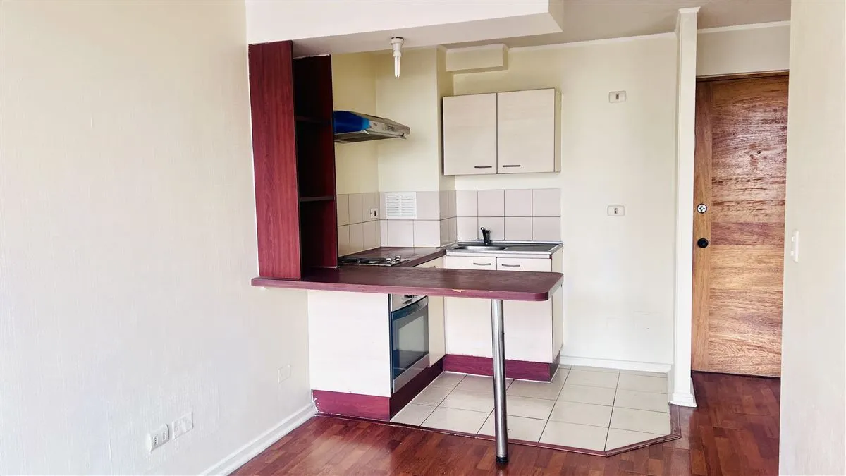 Imagen 2 de 13 de Departamento En Venta De 1 Dorm. En Santiago