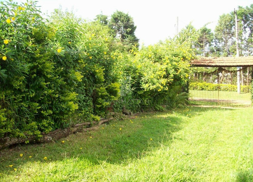 Imagem 6 de 15 de Chácara À Venda Em Parque Residencial Tancredi - Ch002364