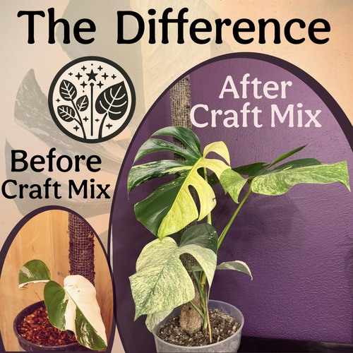 Mezcla Para Macetas Elite Para Alocasia Y Monstera 2l