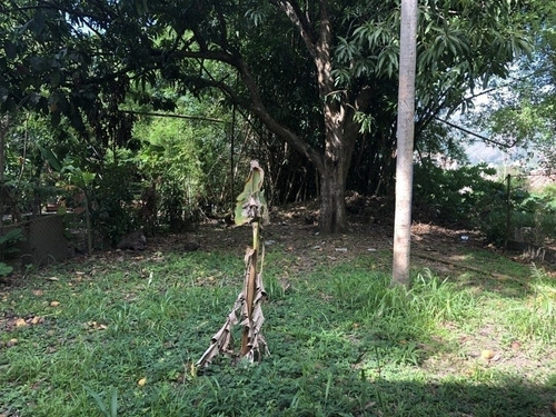 Imagen 15 de 15 de Casa En Venta Las Quintas Naguanagua A Remodelar. Cód.: 126710. 0414-4841043