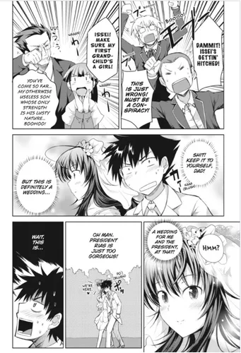 High School DxD, Vol. 1 - manga (High by Caleb D. Cook