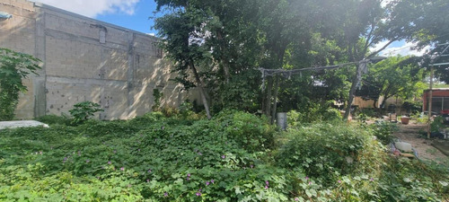 Local Comercial Sobre Correa Racho, Con Terreno Adicional Para Proyecto De Oficinas, 84m2