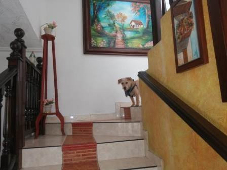 Imagen 27 de 30 de Vendo Casa En palmira barrio Reservas Del Bosque