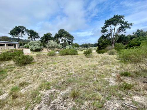 Venta Lote En Acres De Solanas Punta Ballena - Maldonado