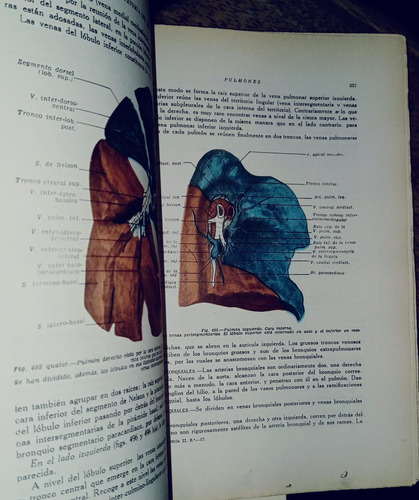 Anatomia Humana Descriptiva Y Topográfica -h.rouviere.tomo2 (Usado)