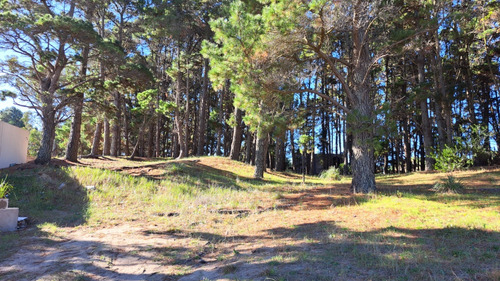 Lote En Mar De Las Pampas