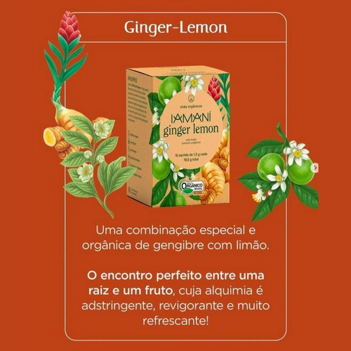 Kit Chá Misto Iamaní Ginger Lemon Orgânico Gengibre Limão 45