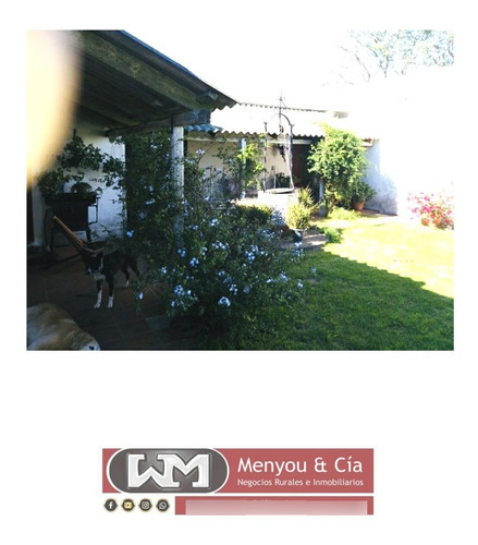 Venta Campo Florida 440 Has Ganadero Forestal Completo