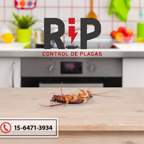 Eliminamos Cucarachas De Cocina