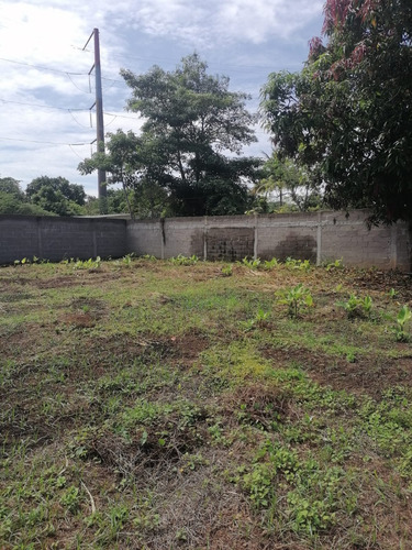 Terreno En Venta Bardeado En Paso Y Playa, Cardenas Tabasco