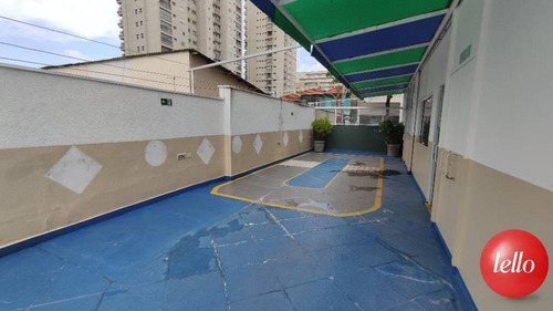 Imagem 10 de 30 de Comercial/industrial - Ref: 239316