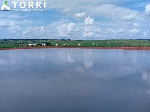 Fazenda À Venda Região De Bauru - Fa00132 - 69211844