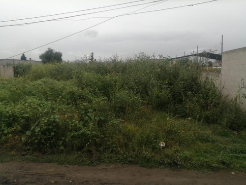 Terreno Habitacional En Venta En Montecillo, Texcoco, México