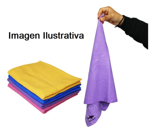 Toalla Deportiva Absorbente Plus 66 X 43 Cm Rosa Escualo Lisa