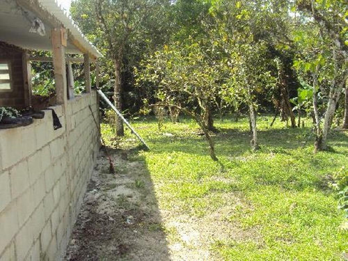 Imagem 19 de 22 de Bela Chácara Com Lago Em Itanhaém, No Balneário Gaivota, Com 2.522 M² De Área Total Ref: 0537/ac