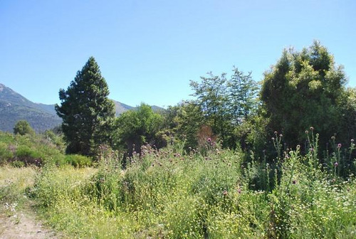 Barrio Cerrado Zona Lago Moreno - Bariloche