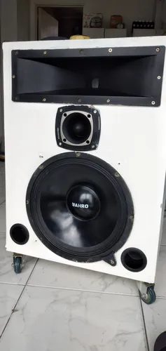 Vendo 2 Parlantes Sonido Profecional 800 Wl