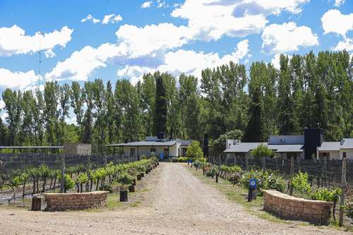 Lot E27 Algodón Wine Estates