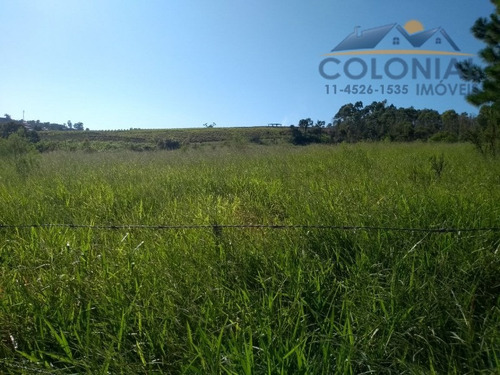 Imagem 8 de 8 de Area Para Venda Champirra, Jundiaí 30.000,00 M2 Útil, Somente Para Fins Rurais. - Ar00027 - 32186038