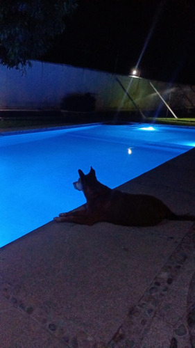 Casita Muy Sencilla A 5 Minutos Lago Tequesquitengo