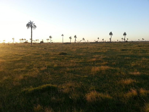 Venta De Campo En Rocha