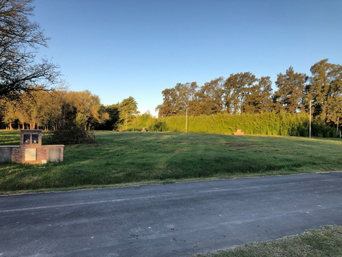 Imagen 8 de 9 de Altos De San Antonio, Lote 9 Mz E.