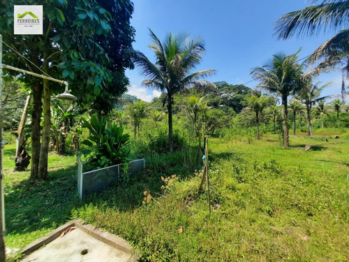 Imagem 23 de 30 de Sítio A Venda . - 830-1