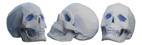 Decorativo Calavera Xl Cráneo Tamaño Real Halloween Terror